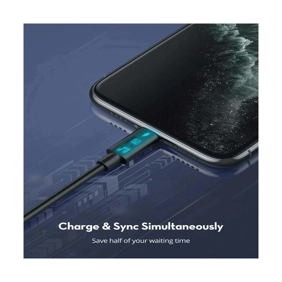 RAVPower RP-CB1016 Cable / Converter / HUB in TK