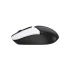 A4TECH FG12S FStyler Mouse in TK