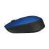 Logitech M171 Mouse in TK