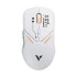 Rapoo VT9PRO Mouse