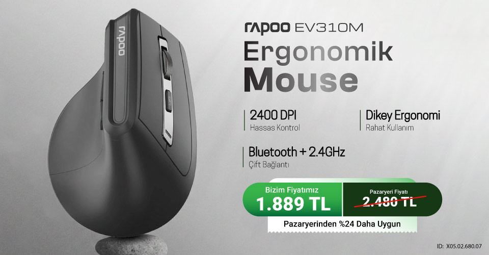 Rapoo EV310M Mouse